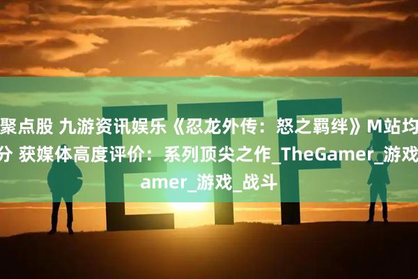 聚点股 九游资讯娱乐《忍龙外传：怒之羁绊》M站均分85分 获媒体高度评价：系列顶尖之作_TheGamer_游戏_战斗